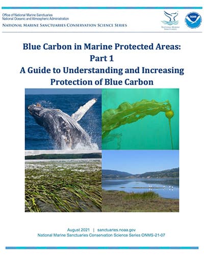 Blue Carbon in Marine Protected Areas: Part 1 A Guide to Understanding and Increasing Protection of Blue Carbon Cover