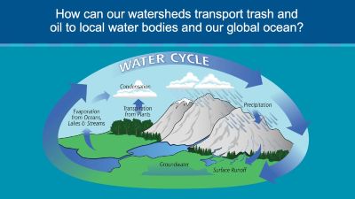 Screenshot of Watersheds to Whales Presentation