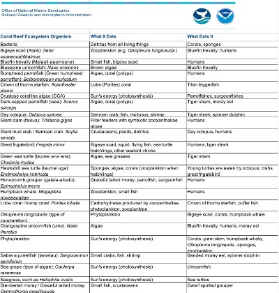 Preview of Coral Reef Ecosystem Organism Table