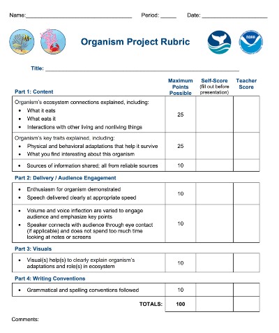 Preview of Coral Reef Organism Project Rubric