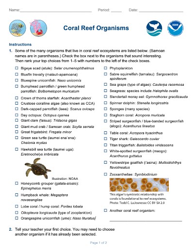 Preview of Coral Reef Organisms Handout