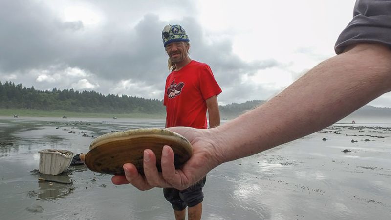 A green forest lines the horizon, gray clouds are in the sky, and dark brown wet sand covers the ground. A researcher holds up a razor clam right in front of the camera while a man in a bright red shirt looks at it in the background.