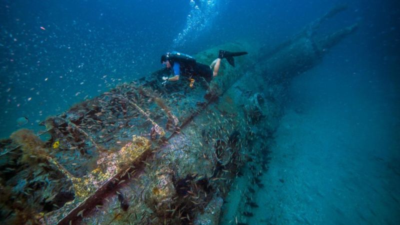 A diver explores a rusting shipwreck surrounded by small fish and bright blue water.