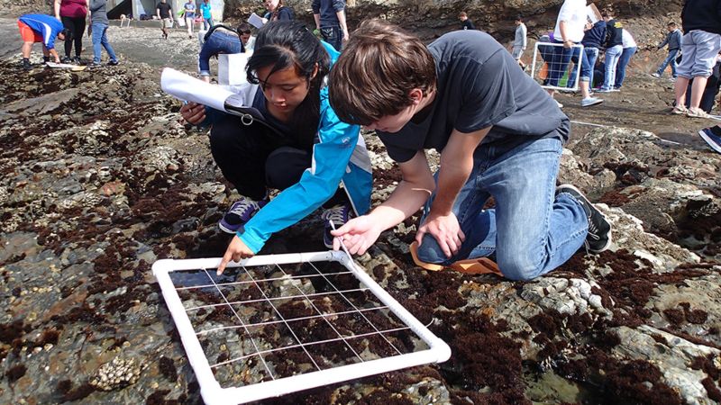 Students monitor a rocky intertidal community with a quadrat at a national marine sanctuary in California.