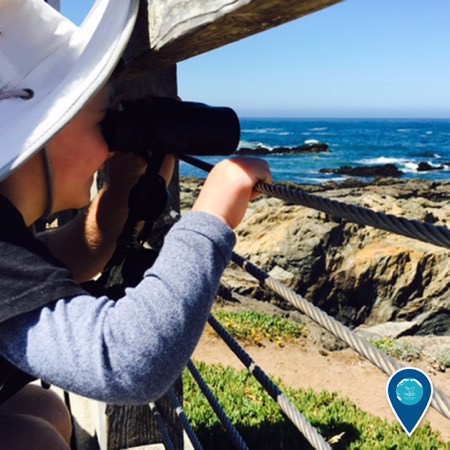 boy looking through binoculars at the ocean