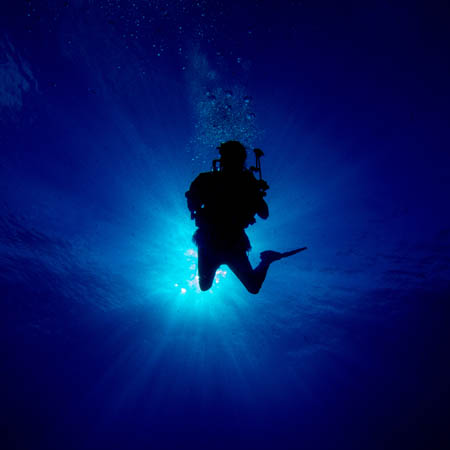 diver in the water with light shining down from above