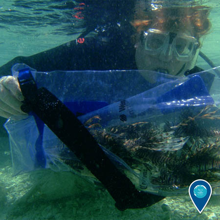 diver holding a captured lionfish