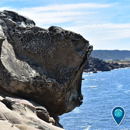 A large rock overlooking the ocean. The rock has honeycomb-like depressions in its surface.