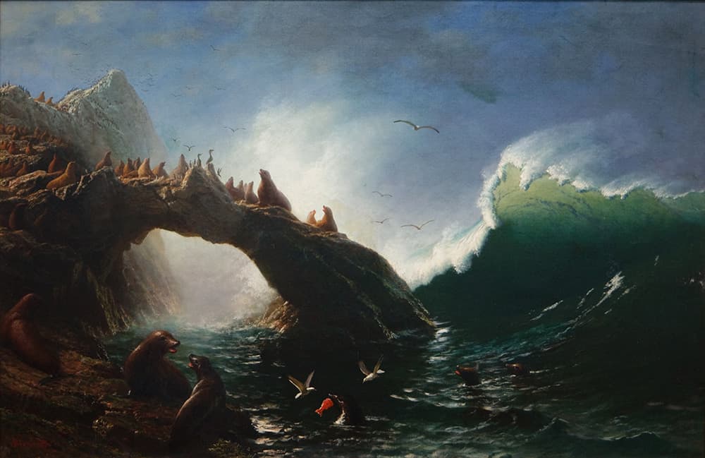 painting of seals on farallon islands while a is about to crash on shore