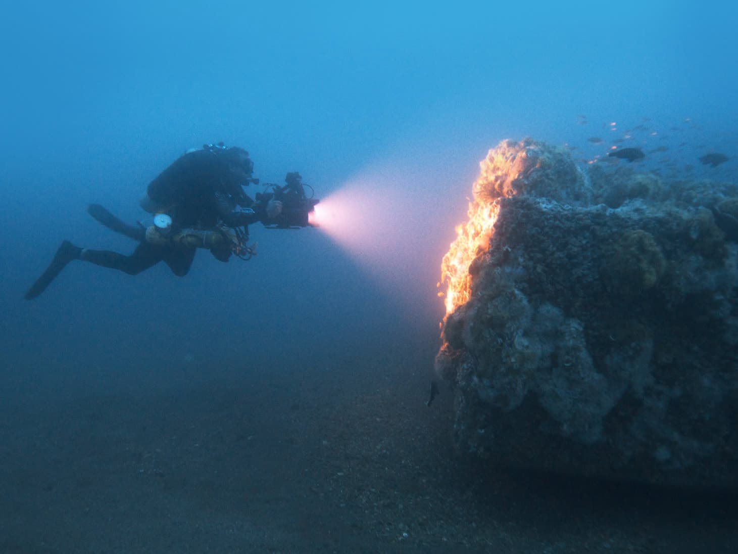 diver photographing the wreck of the uss monitor