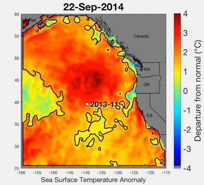Heatmap of sea surface temperature anomalies in the California Current
                                Ecosystem showing the 2014–2016 marine heatwave at its near maximum extent in September 2014.