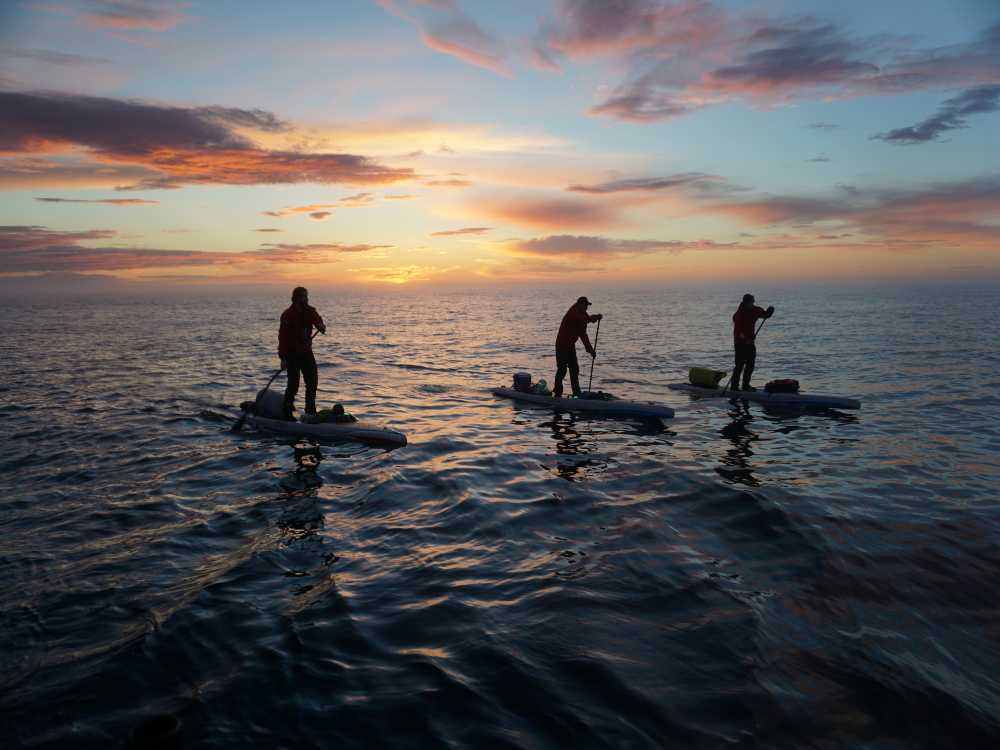 paddle boarders in the water during sunset