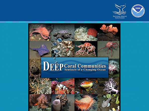 deep coral communities poster