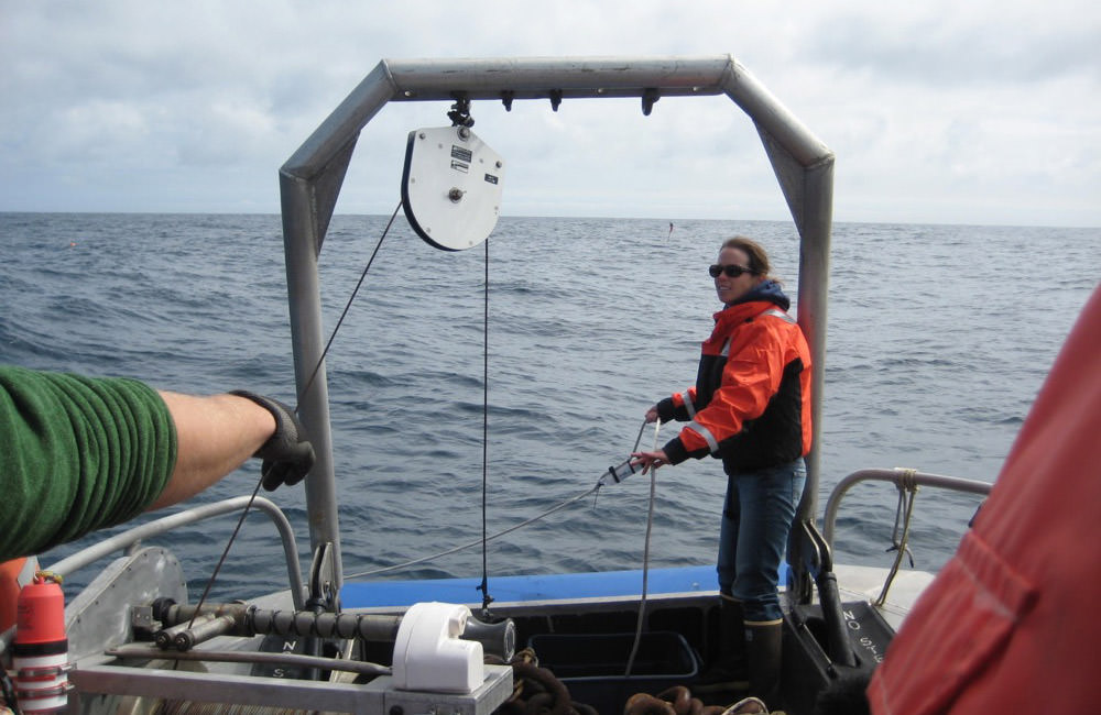 Lipski deploys a dissolved oxygen sensor on a mooring line