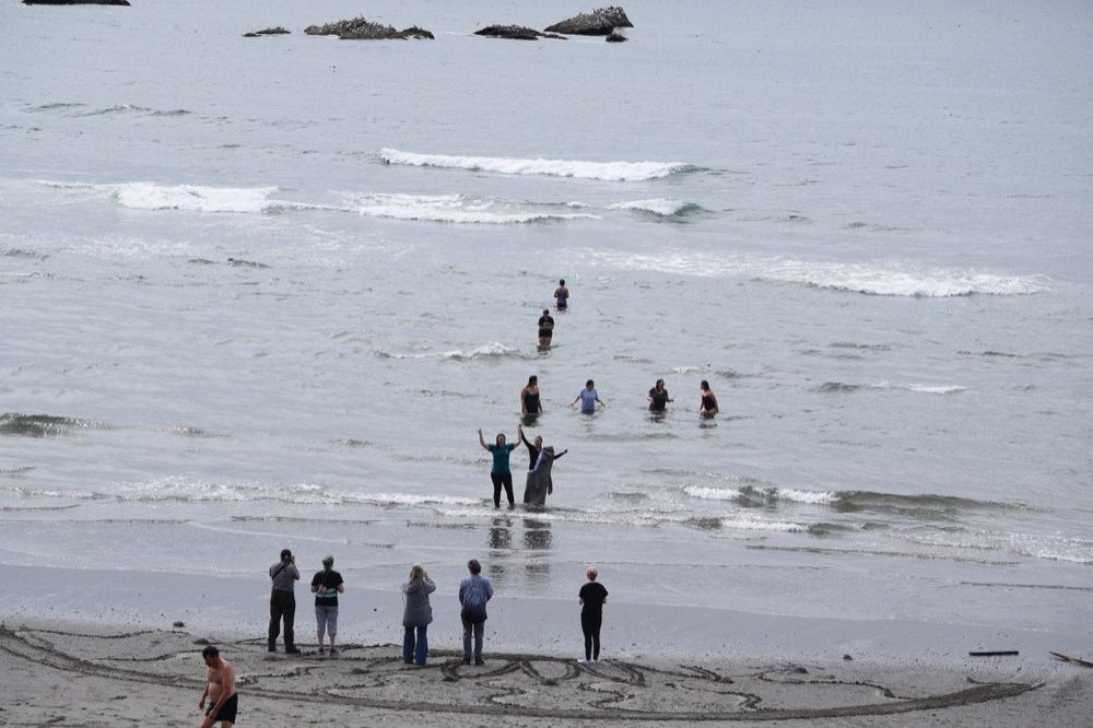 visitors swimming in the cold olympic coast water