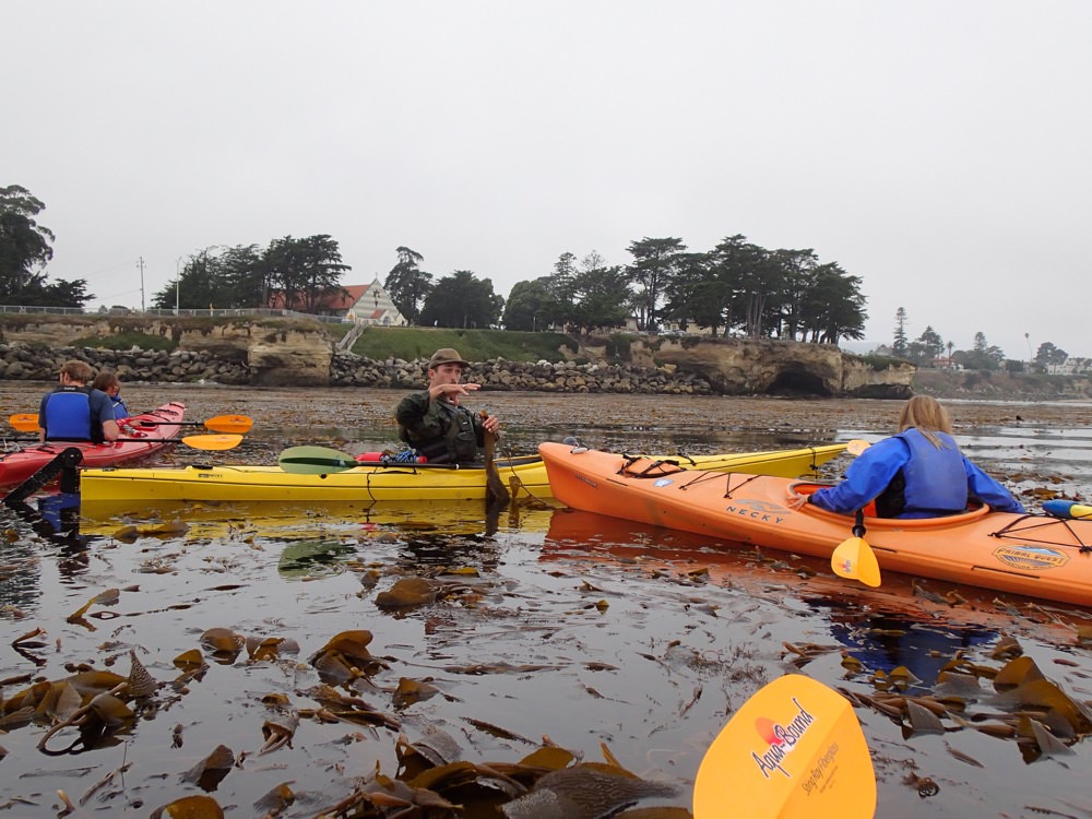 kayakers in monterey bay national marine sanctuary