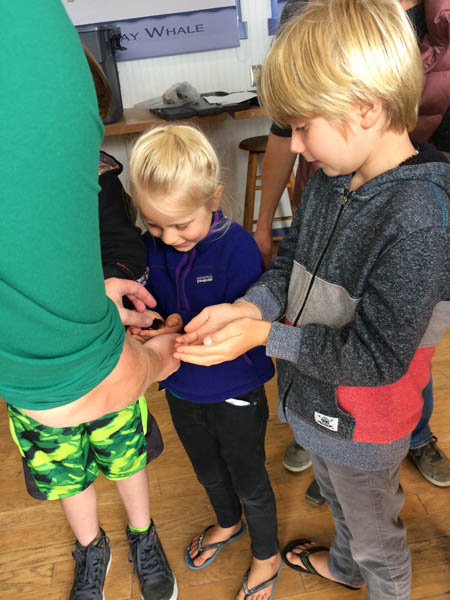 children examine a small crab