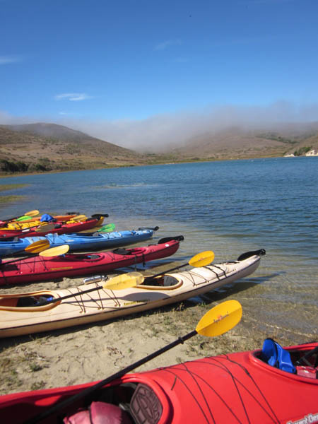 kayaks on shore near a bay