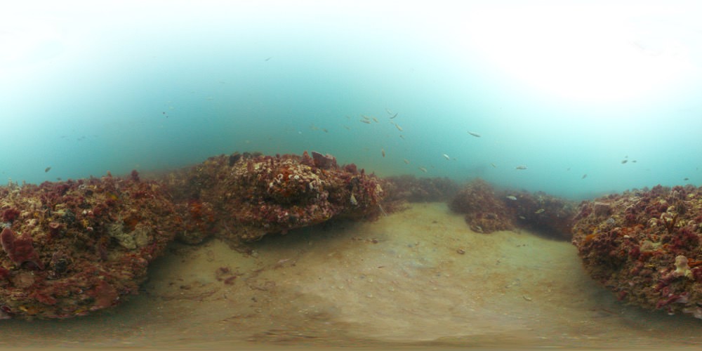 a 360 degree view of grays reef national marine sanctuary