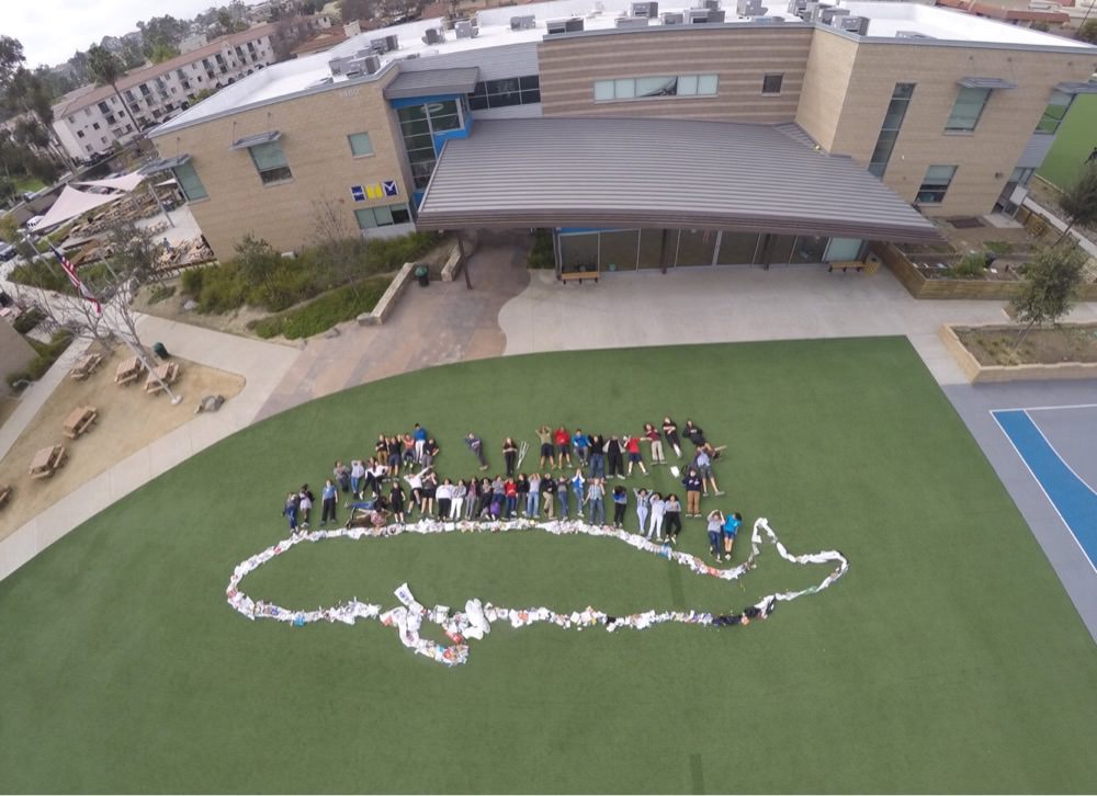 aerial shot of students next to a whale built from trash