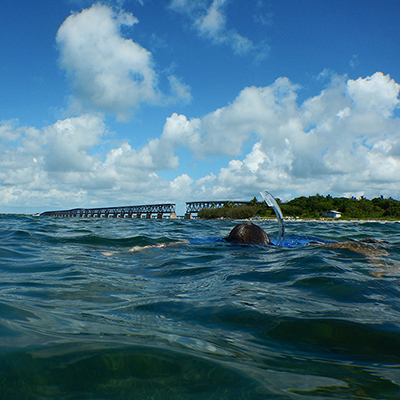 snorkeler in the water in front of a bridge