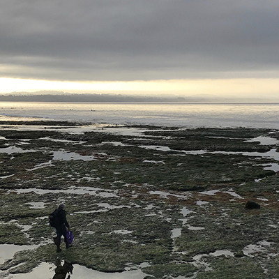 person at tidepools in the early morning