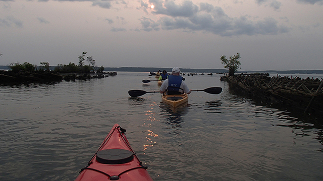kayakers on mallows bay