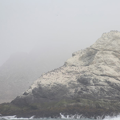 farallon islands in the fog
