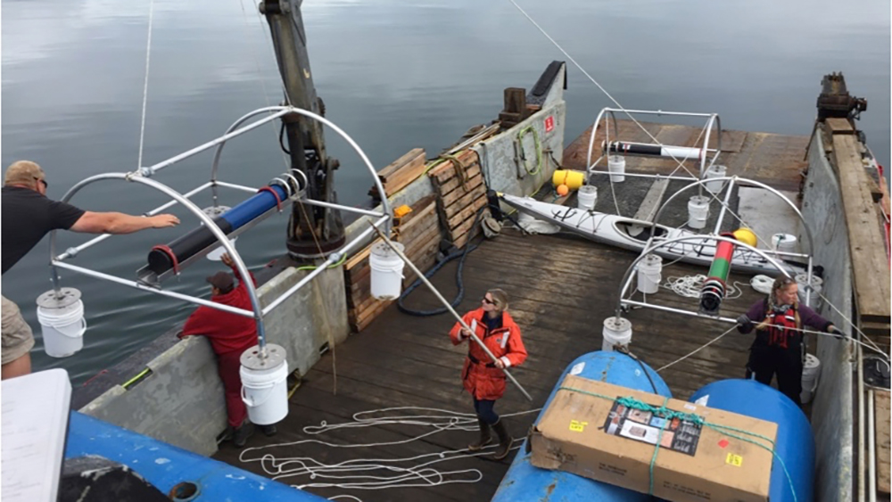 the deck of a ship with haver in the middle front preparing a hydrophone mooring