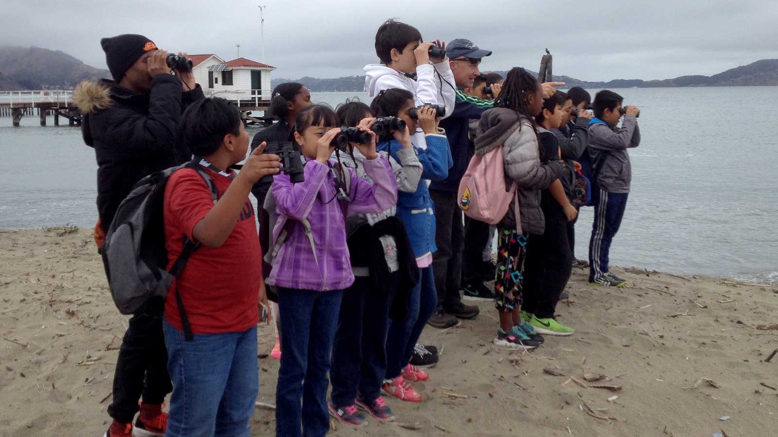 group of students birdwatching on the beach