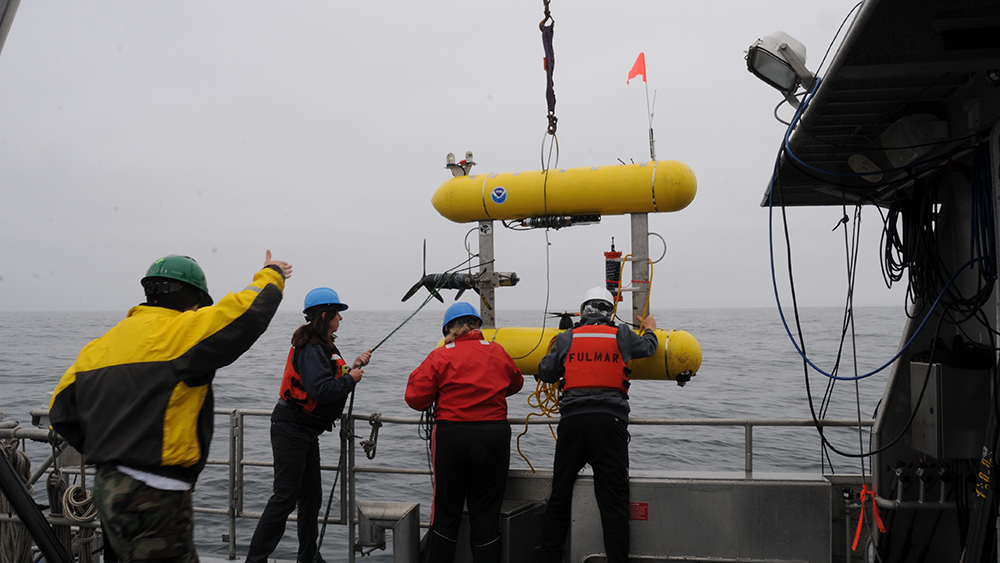 researchers lower an rov off a ship