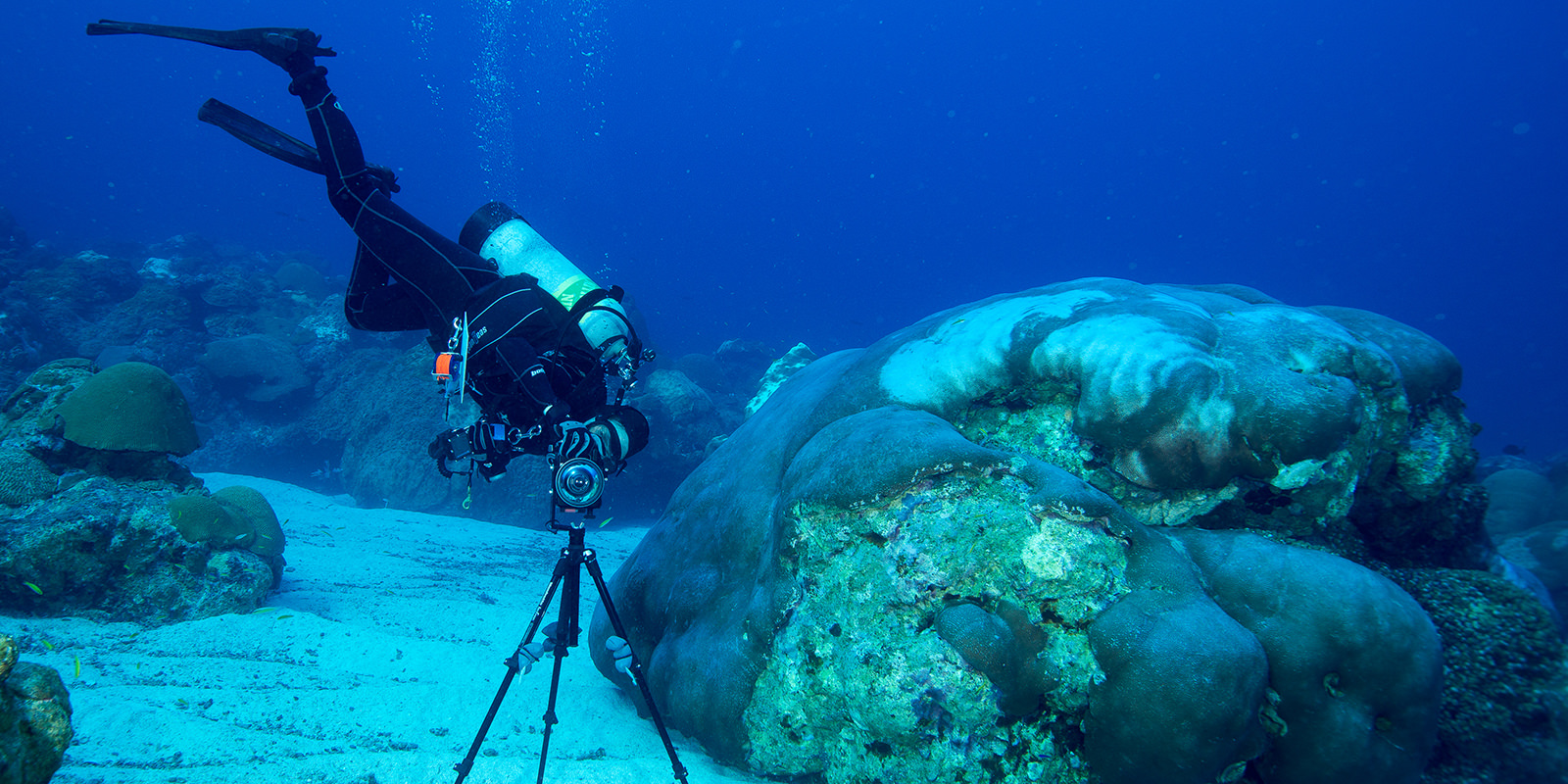 diver taking a photograph