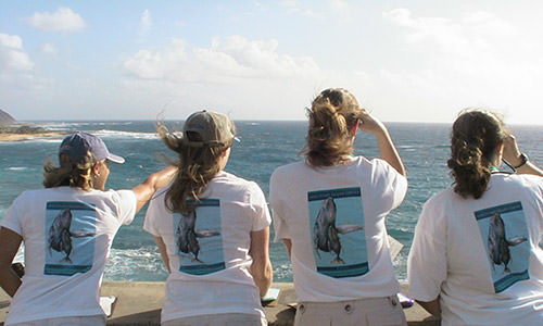 Volunteers looking for humpback whales during the Sanctuary Ocean Count project on Oahu
