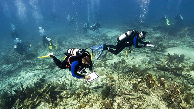 divers mapping a shipwreck