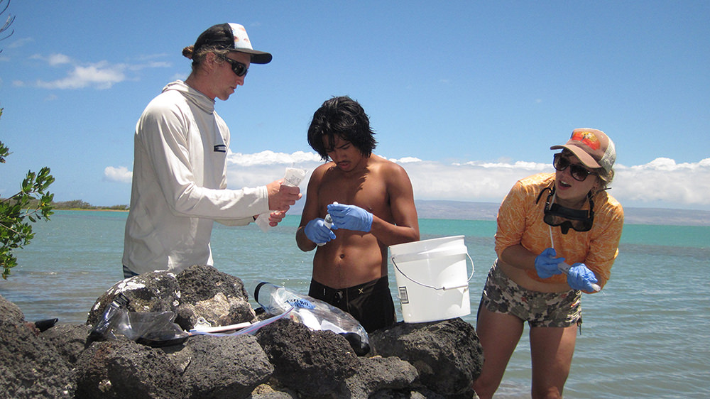 three people monitor water quality