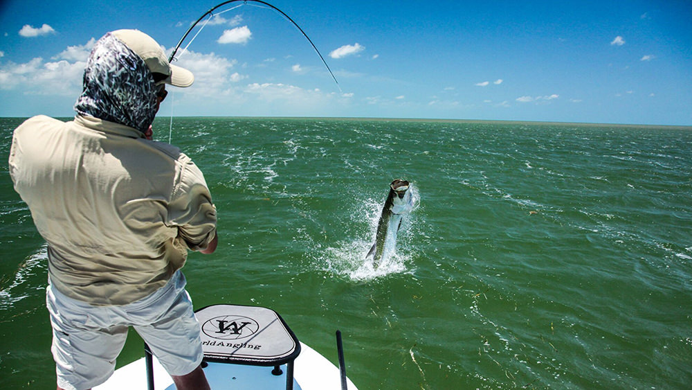 view from behind of a man reeling in a tarpon
