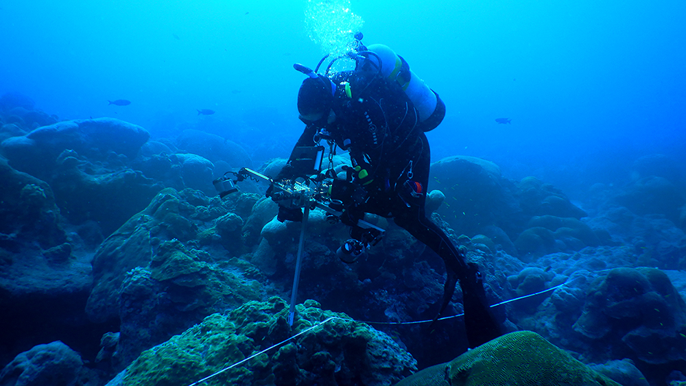research diver surveying coral