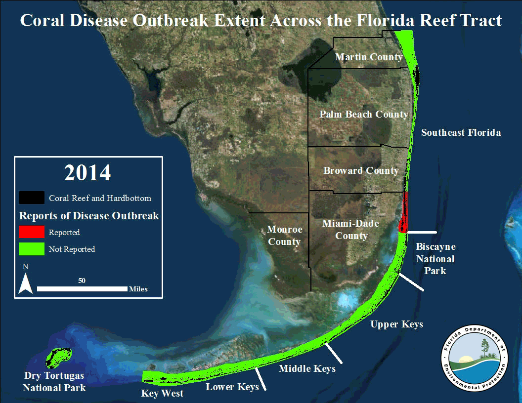 graphic showing the spread of the disease along the florida reef tract