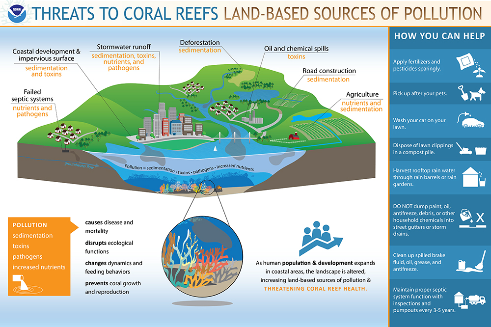 graphic showing land-based threats to coral colonies