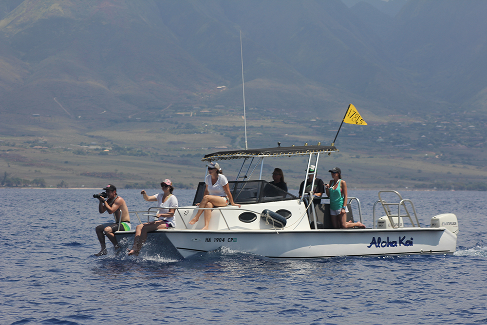 several people sitting on a boat looking for whales