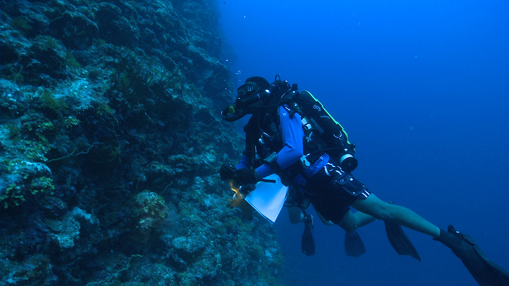 coleman diving near a coral and rock ledge