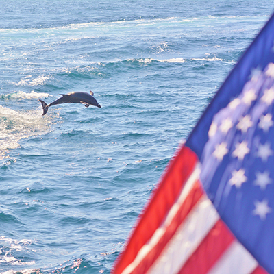 dolphin and flag