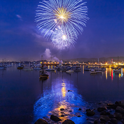 fireworks over harbor
