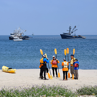 kayakers gathered on a beach