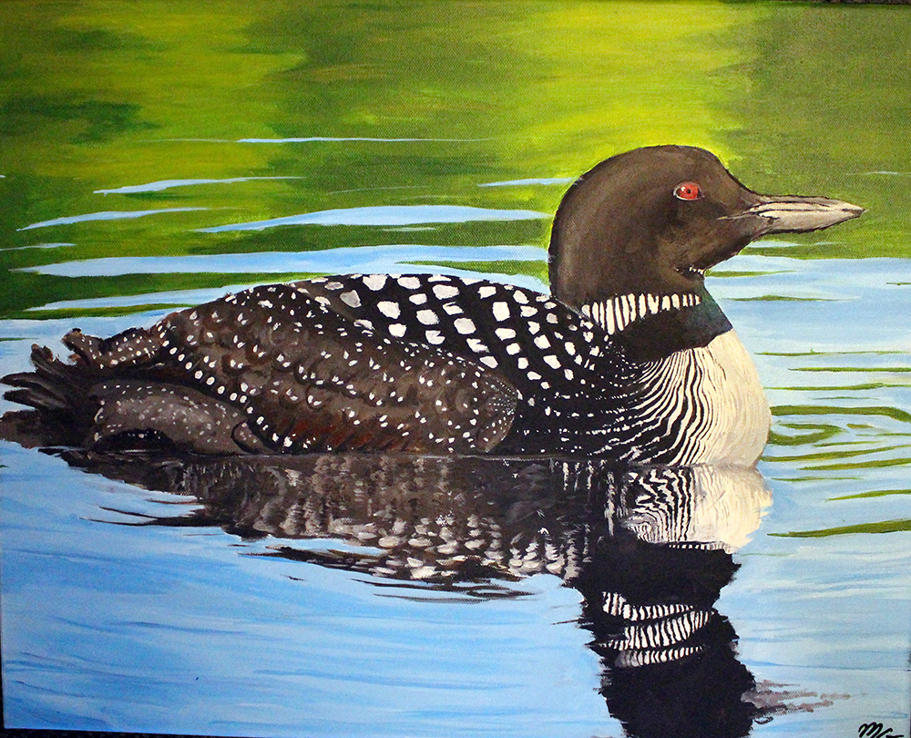 painting of a common loon
