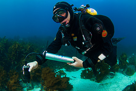 diver mesuring sound near the seafloor