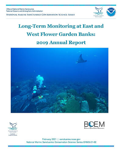 Long-Term Monitoring at East and West Flower Garden Banks: 2016 Annual Report
