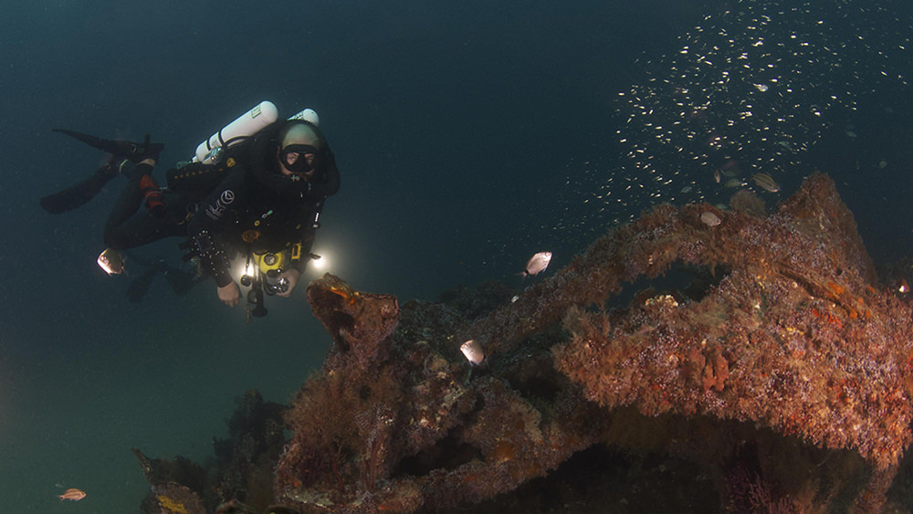diver near shipwreck