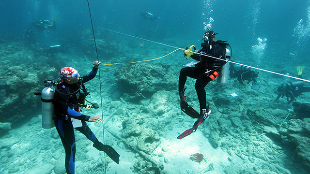 divers measuring artifact