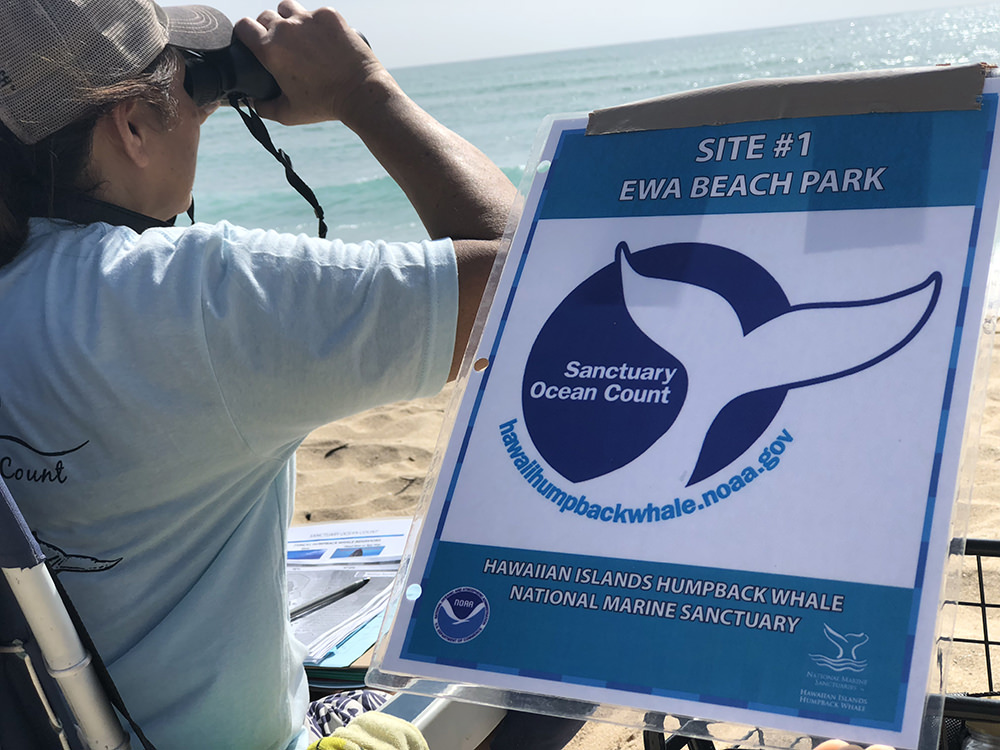 person looking through binoculars next to a sanctuary ocean count sign